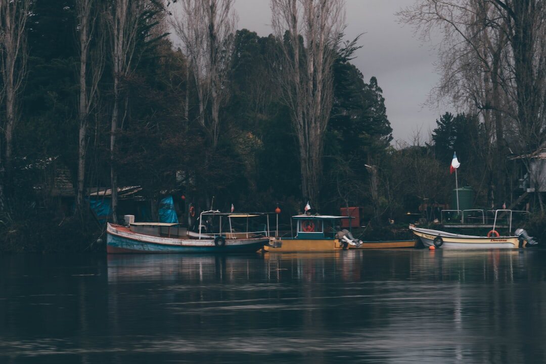 Fishing boats on the shore of a coastal town in southern Chile