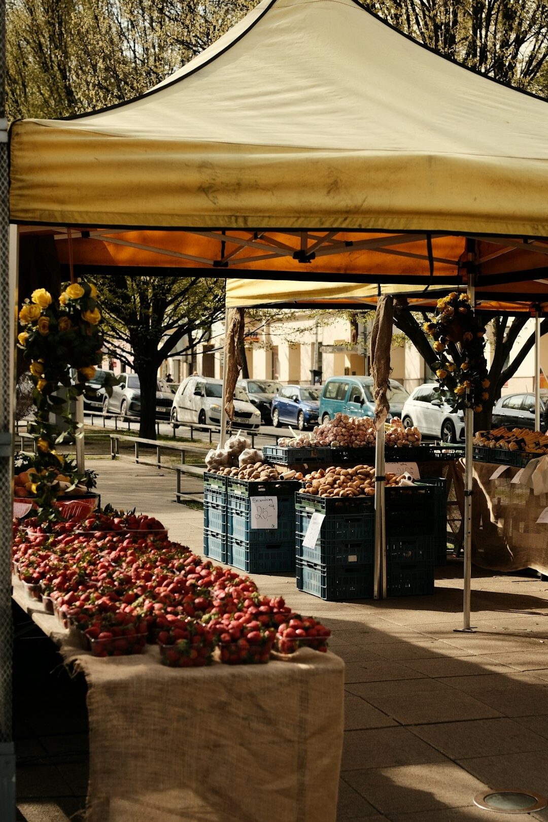 street vendor selling fruits